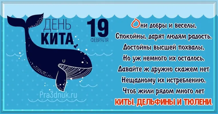 Всемирный день китов