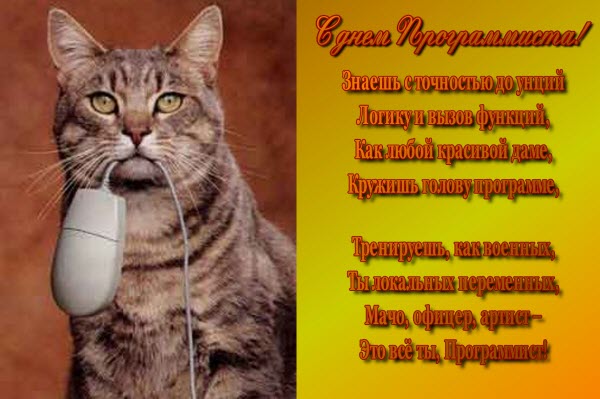 Компьютерщику с днем программиста с