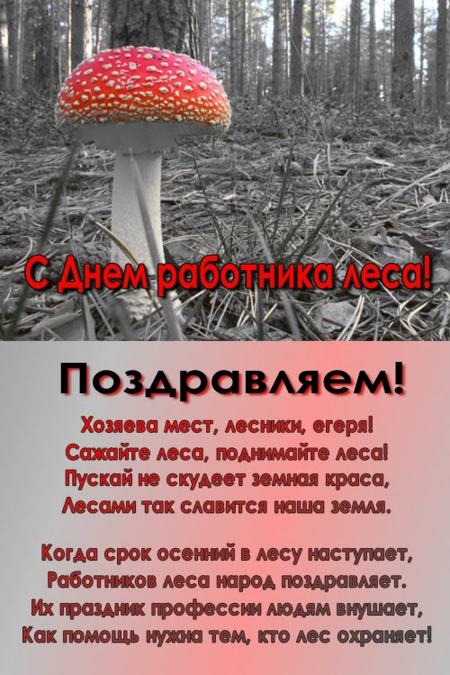 Открытки поздравления работников лесной промышленности Открытки поздравления работников лесной промышленности