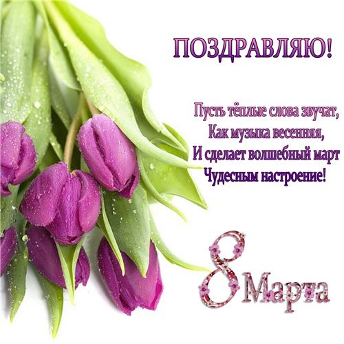 как на 8 марта вырастить тюльпаны дома