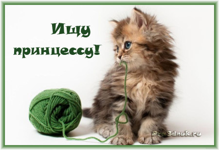 конкурс отыщи принцессу