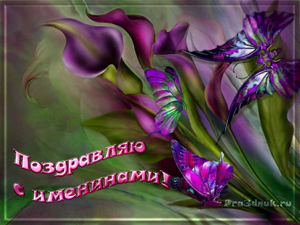 открытка на именины с ирисами