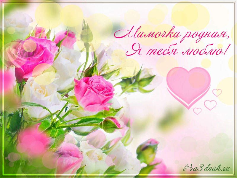 мамочка я тебя люблю