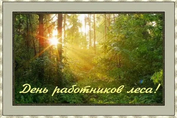 день работников леса