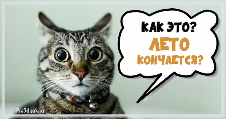 Конец лета скоро осень