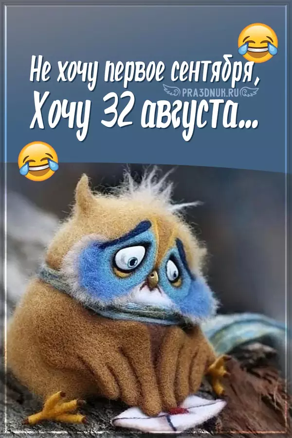 хочу 32 августа