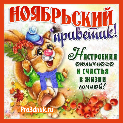 ноябрьский приветик