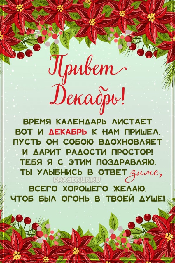 Привет декабрь