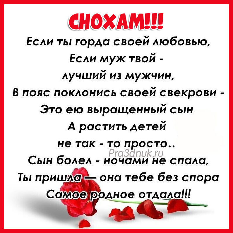 Слова снохам