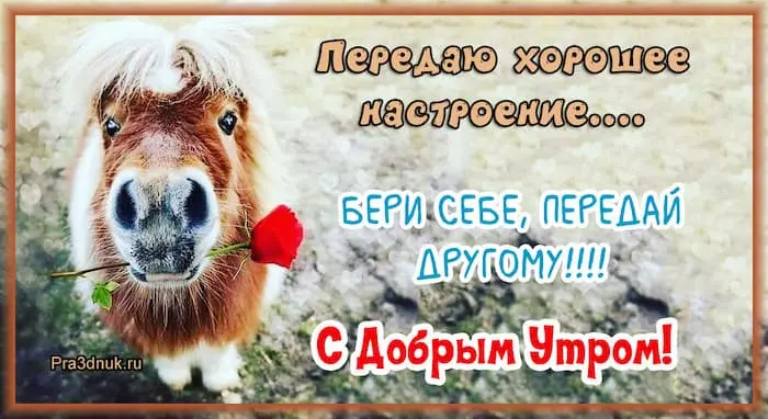 Передаю хорошее настроение