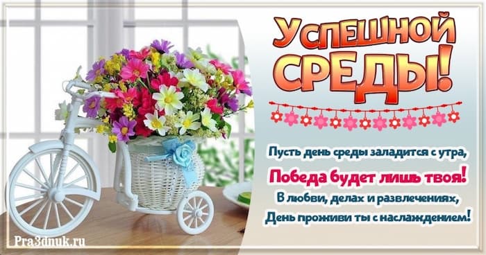 Успешной среды