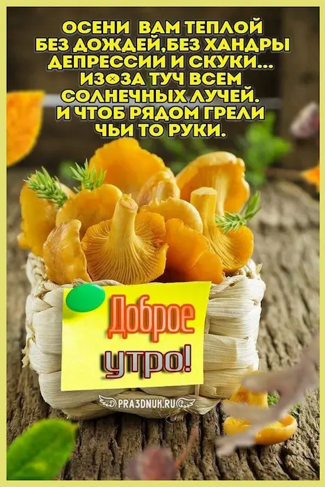 Утро осени