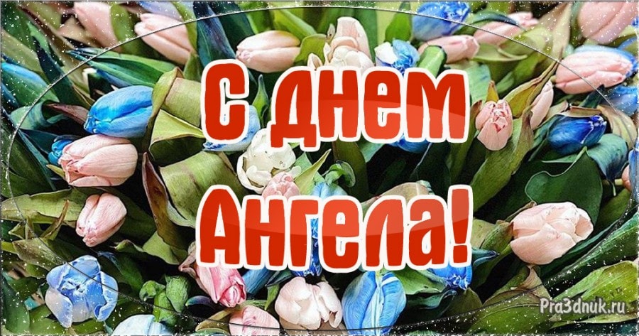 День ангела тюльпаны