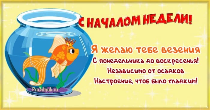 С началом недели