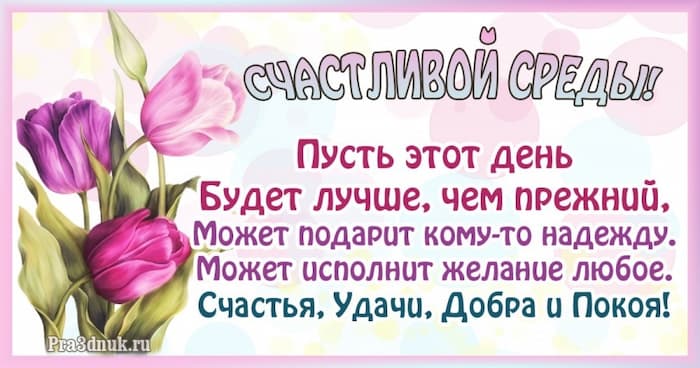 Счастливой среды