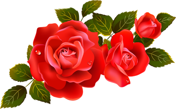 разделитель розы