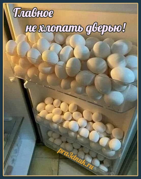 Главное не хлопать дверью