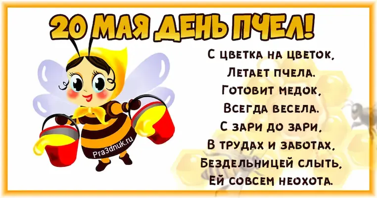 с днем пчел картинка
