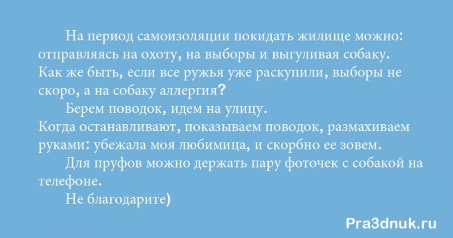 поводок коронавирус