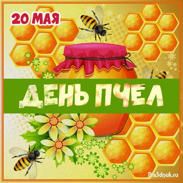 день пчел 20 мая