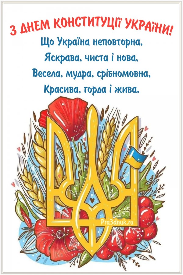 день конституції україни 2022