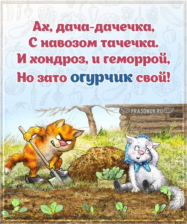 Хорошая дача