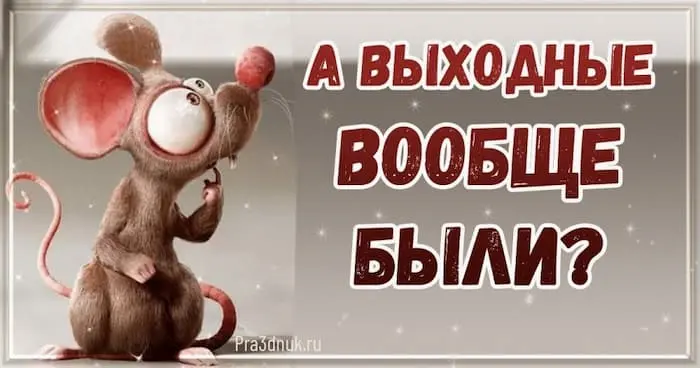 на выходные
