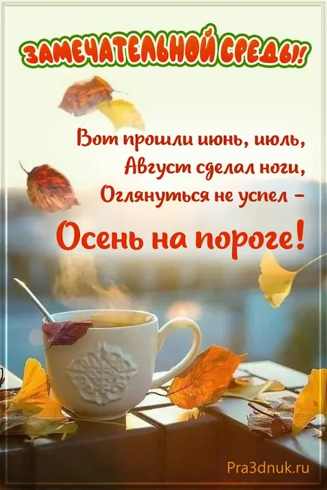 Замечательной среды