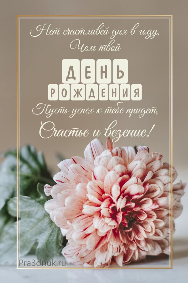 с дне рождения цветы