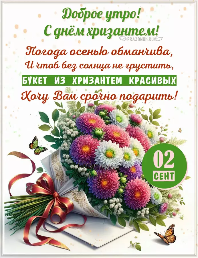 дарю хризантемы