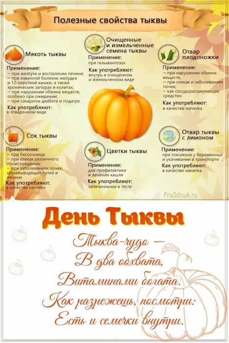 полезные свойства тыквы