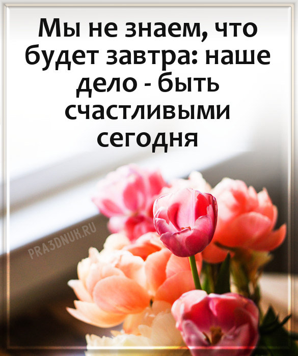 Счастливые сегодня