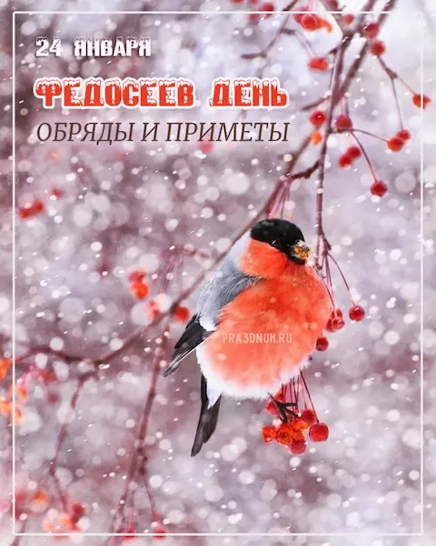 Федосеев день