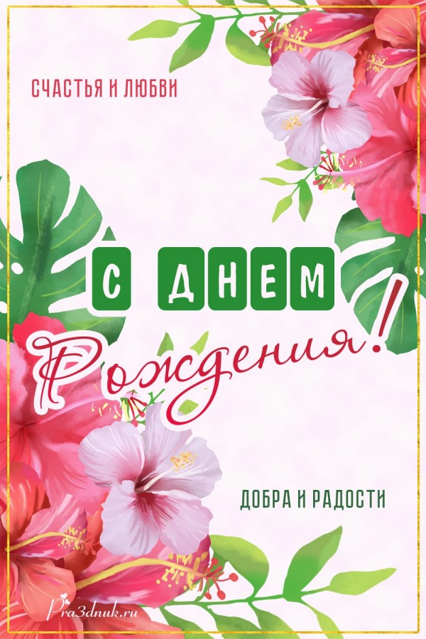 день рождения гибискусы