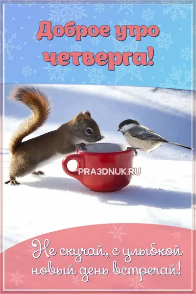 открытка утро четверга
