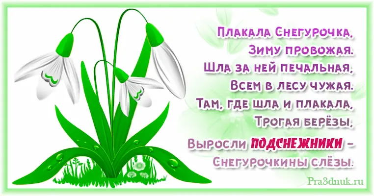 подснежник открытка
