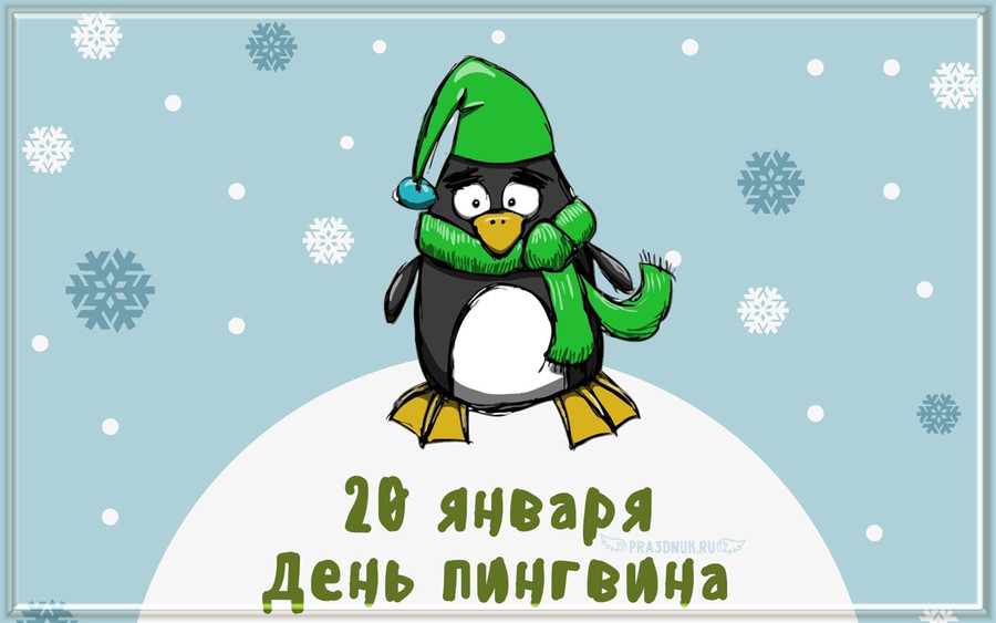 День пингвинов 20 января
