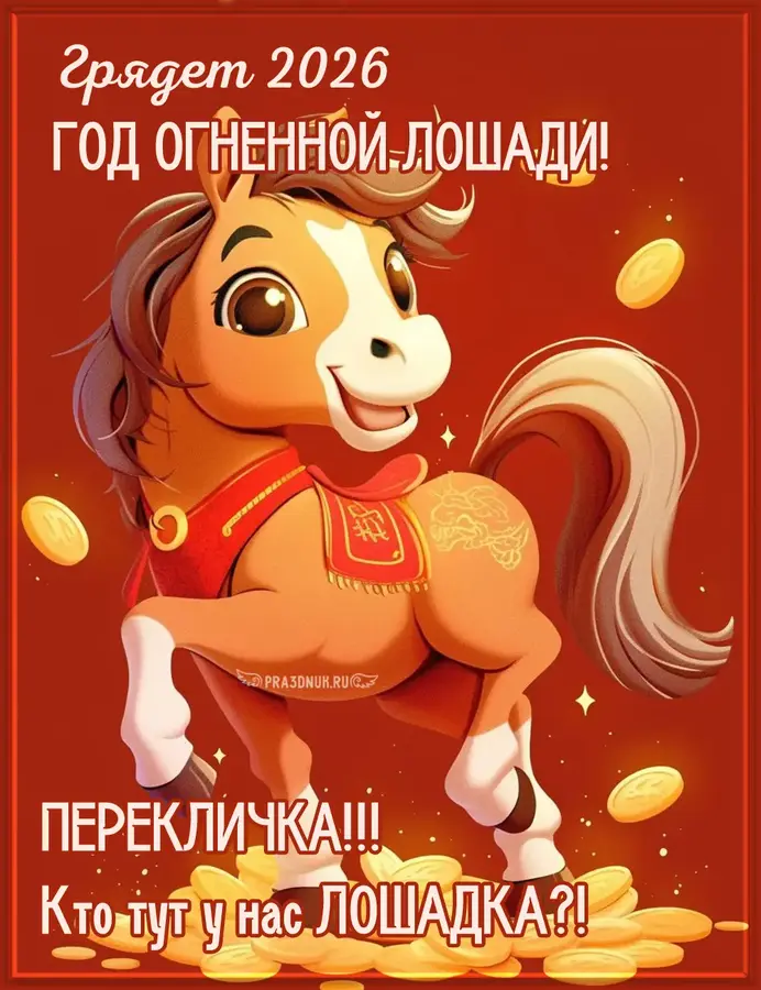 кто тут у нас лошадка