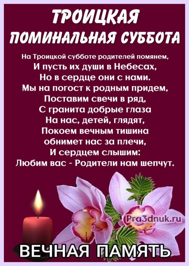 Троицкая в 2025 году