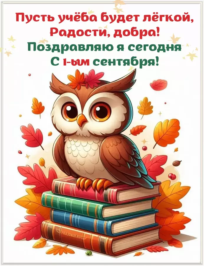Учеба будет легкой
