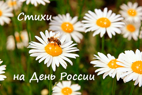 Стихи поздравления на День России 12 июня