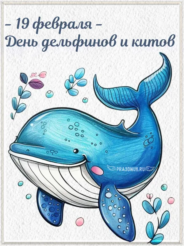 суть китов