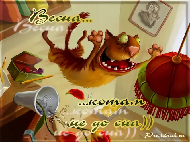 весна котам не до сна