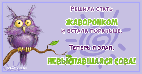 Невыспавшаяся сова