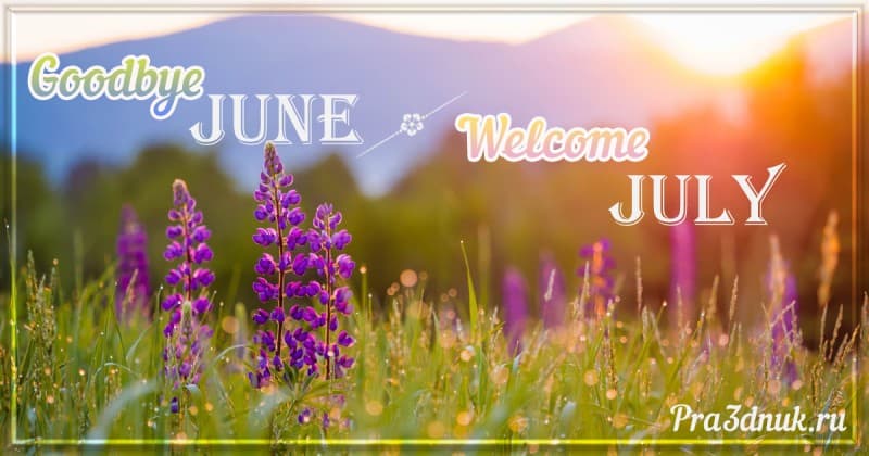 Goodbye june