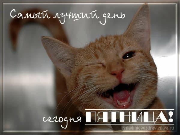 Самый лучший день
