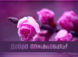 картинка добро пожаловать