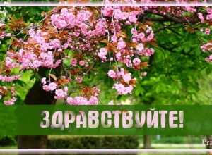 добро пожаловать