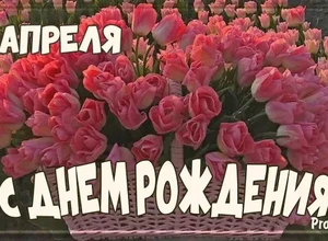 рожден 6 апреля