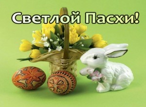 Кролик и яйца